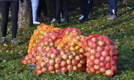 NARAVOSLOVNI DAN »V SADOVNJAKU« 